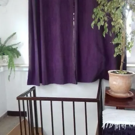 Senada Apartment Premantura